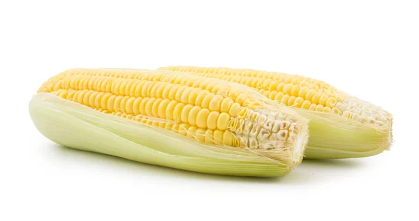 Two corn on sack background — Stock Photo, Image