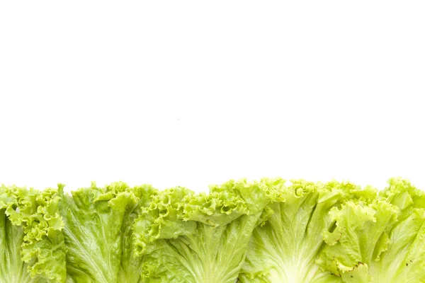 Frame fresh lettuce leaves close up isolated — Stock Photo, Image