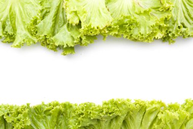 Çerçeve taze marul yaprakları kadar izole yakın