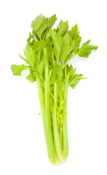 Celery isolated on white — Stock Photo, Image