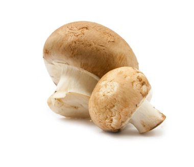 izole taze petrol kahverengi sürüm 