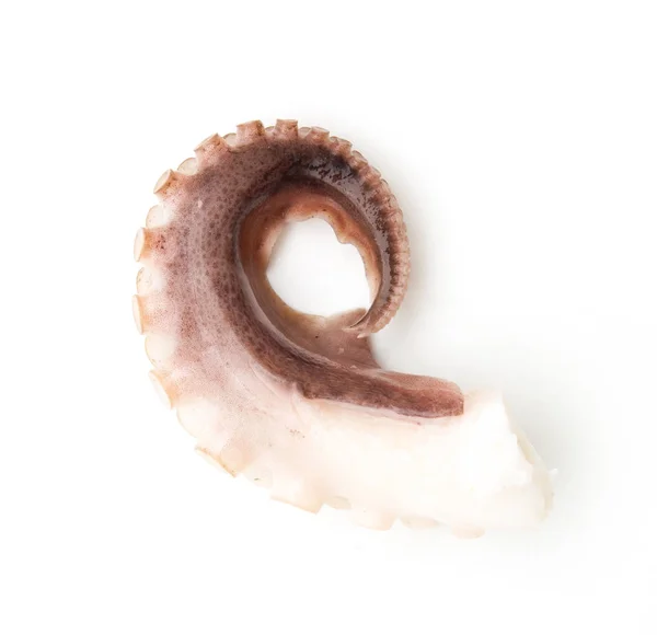 Tentakels van de octopus geïsoleerd op wit — Stockfoto