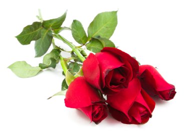 kırmızı gül buketi