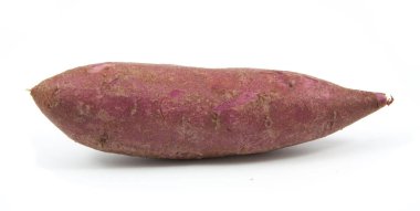 tapyoka bitkiler manyok portre üzerinde beyaz izole 