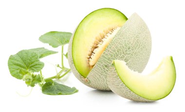 izole yeşil kavun karpuz