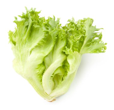 izole kadar yakın taze marul yaprakları