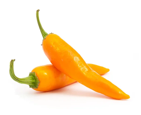 Ají picante naranja aislado — Foto de Stock