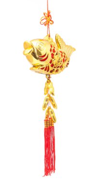 Çin altın balık izole üzerinde beyaz üzerinde asılı