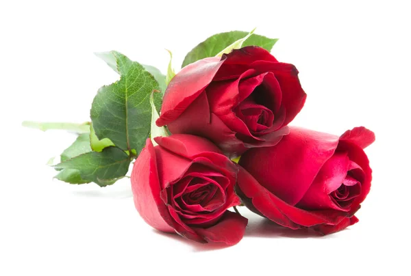 Κόκκινα τριαντάφυλλα μπουκέτο — Φωτογραφία Αρχείου