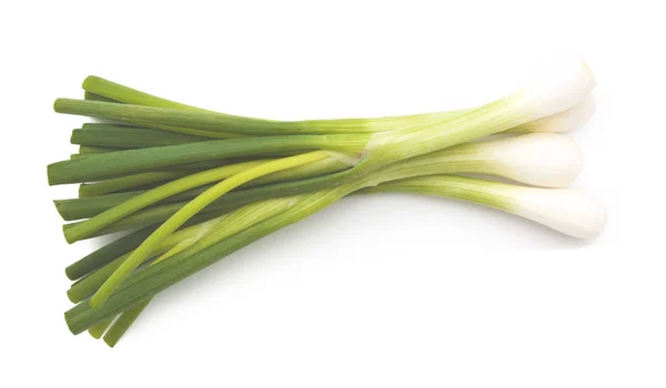 Green onion isolated — Stock Photo, Image