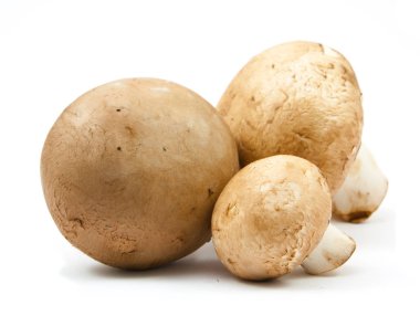 izole taze petrol kahverengi sürüm 