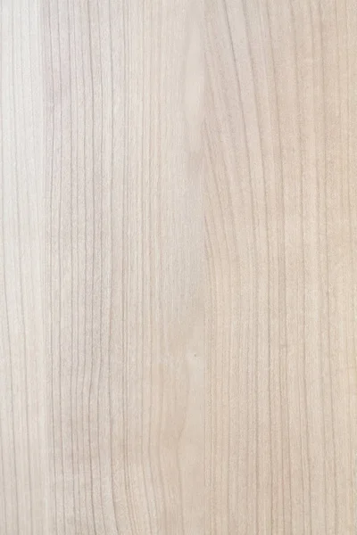 Textura de madeira loira — Fotografia de Stock