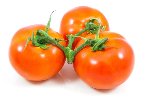 Three tomato on white background — Stock Photo, Image