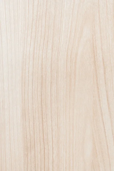 Textura de madera rubia — Foto de Stock