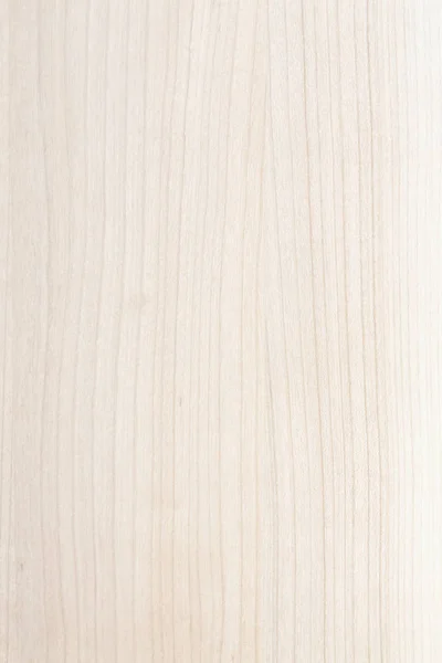 Textura de madera rubia — Foto de Stock