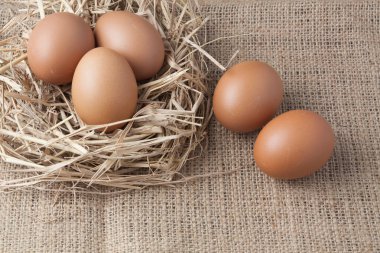 eski çuval üzerinde saman yuvadaki yumurta