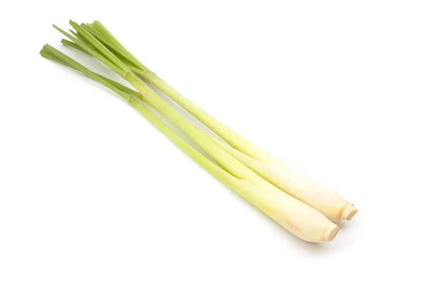 Lemon grass on white — Stock Photo, Image