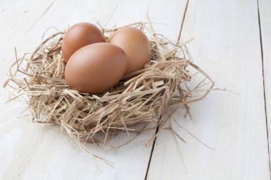 karanlık vintage ahşap üzerinde yuvadaki yumurta 