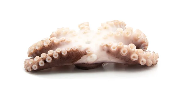 Tentakels van de octopus geïsoleerd op wit — Stockfoto