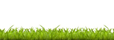 Yeşil çimenlerin üzerinde beyaz