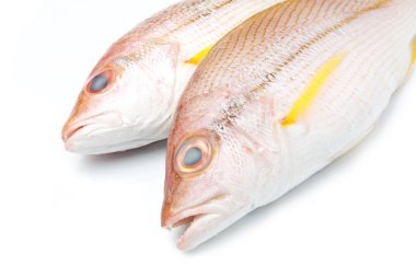 taze balık izole lezzetli bölümü