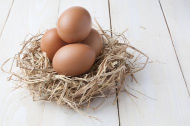 karanlık vintage ahşap üzerinde yuvadaki yumurta 