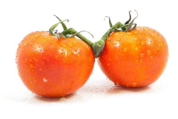 Four tomato on white background — Stock Photo, Image