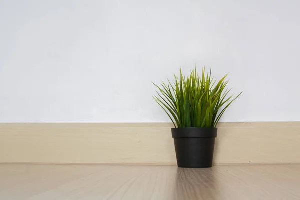 Planta em vaso de flores na prateleira contra a parede de madeira rústica — Fotografia de Stock