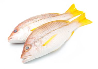 taze balık izole lezzetli bölümü