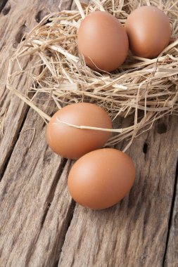 eski ahşap saman yuvadaki yumurta 