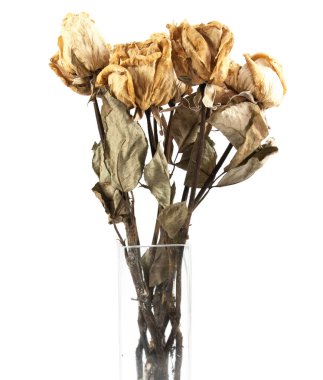 kurutulmuş gül izole 