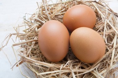 karanlık vintage ahşap üzerinde yuvadaki yumurta 