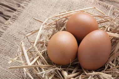 eski ahşap saman yuvadaki yumurta 