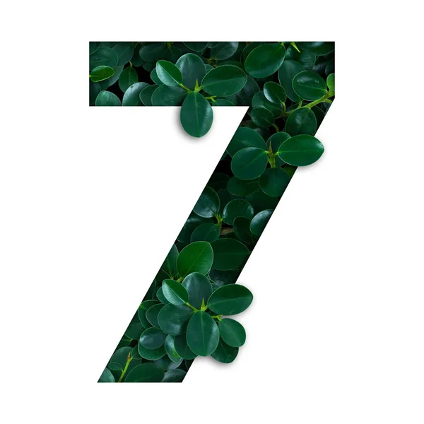 Concepto de naturaleza alfabeto de hojas verdes en forma de número siete —  Fotos de Stock