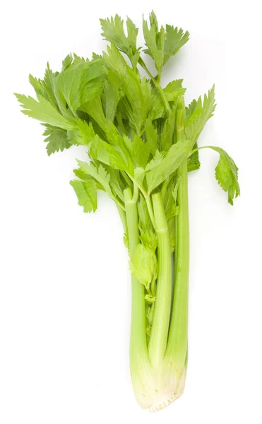 Celer izolovaných na bílém — Stock fotografie