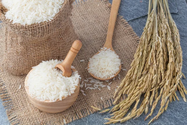 Arroz jazmín fragante tailandés en un tazón con espiga de oro — Foto de Stock