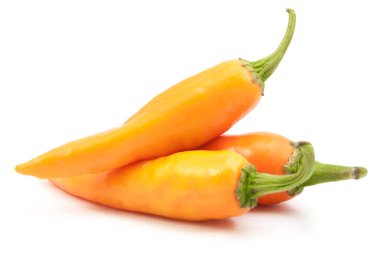 Turuncu sıcak biber biber izole