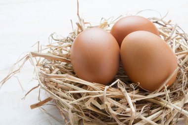 karanlık vintage ahşap üzerinde yuvadaki yumurta 