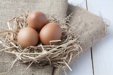 karanlık vintage ahşap üzerinde yuvadaki yumurta 