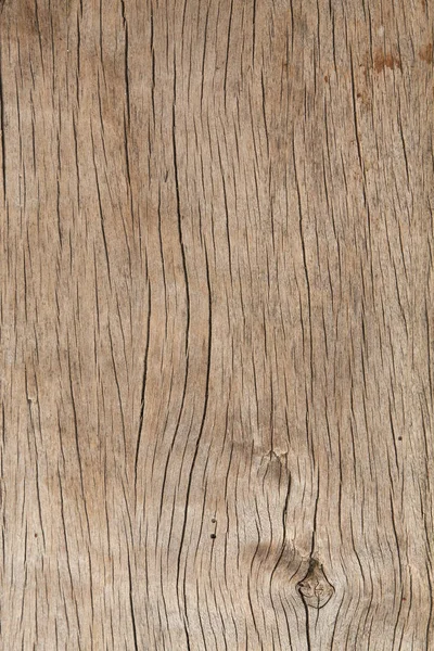 Struttura del legno di corteccia uso come aturale — Foto Stock