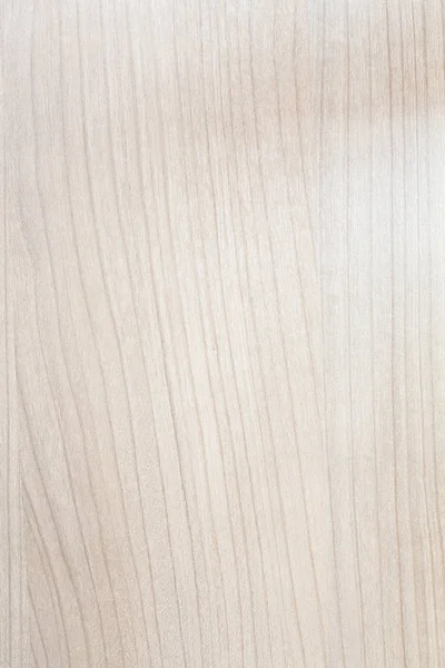Szőke fa texture — Stock Fotó