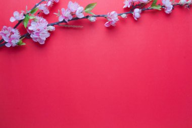 Pembe Erik çiçeği kırmızı