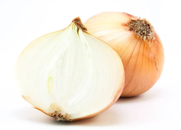 Bombillas frescas de cebolla — Foto de Stock