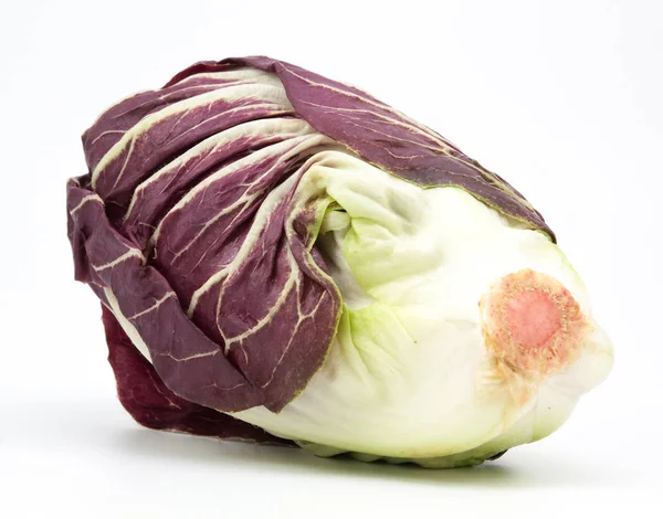 Radicchio salade rouge isolée — Photo