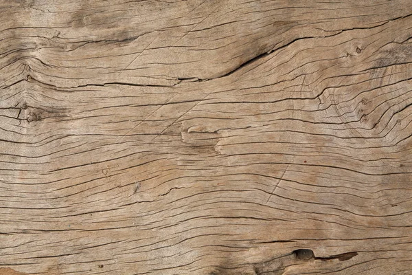Texture of bark wood use as atural — Stock Photo, Image