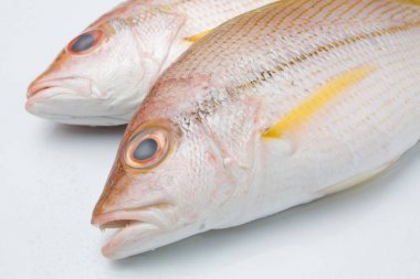 taze balık izole lezzetli bölümü