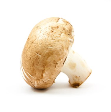 izole taze petrol kahverengi sürüm 