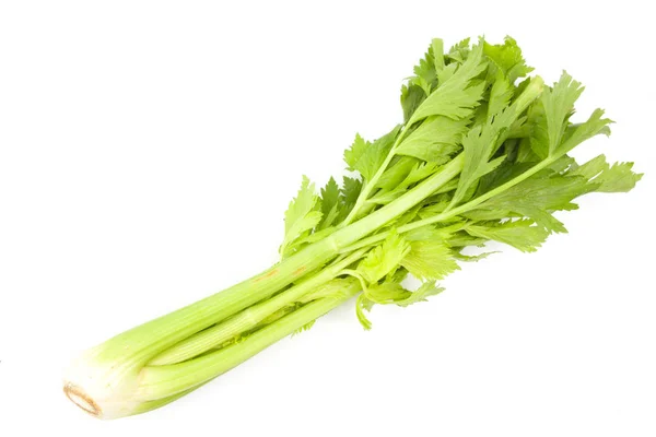 Celery isolated on white — Stock Photo, Image