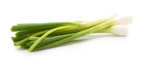 Collection green onion on the white — Stock Photo, Image