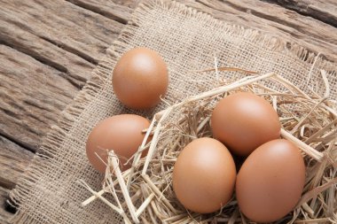 eski ahşap saman yuvadaki yumurta 